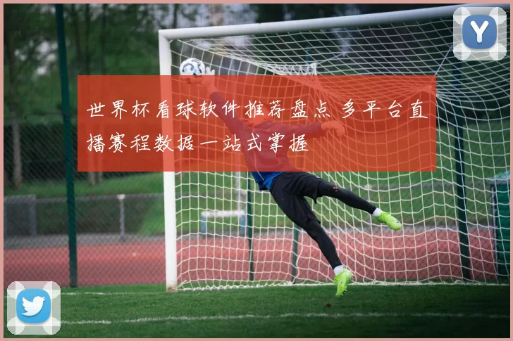 世界杯看球软件推荐盘点 多平台直播赛程数据一站式掌握