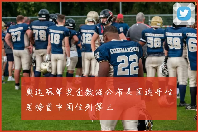 奥运冠军奖金数据公布美国选手位居榜首中国位列第三