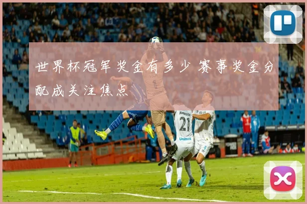 世界杯冠军奖金有多少 赛事奖金分配成关注焦点