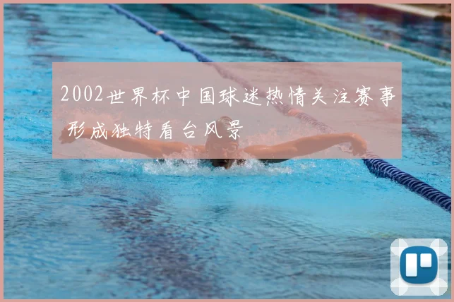 2002世界杯中国球迷热情关注赛事 形成独特看台风景