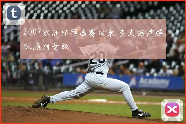 2007欧洲杯预选赛结束 多支老牌强队顺利晋级