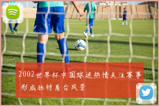 2002世界杯中国球迷热情关注赛事 形成独特看台风景